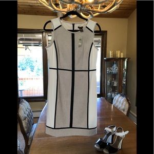 NWT Ann Taylor Dress